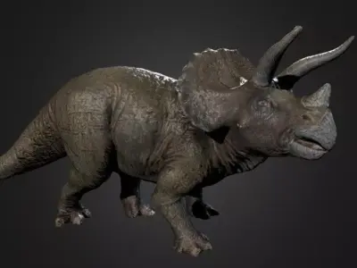 Triceratops Photogrammetry Free 3D model