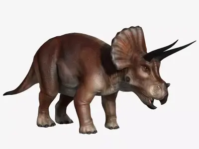 Triceratops dinosaur Low-poly 3D model 2