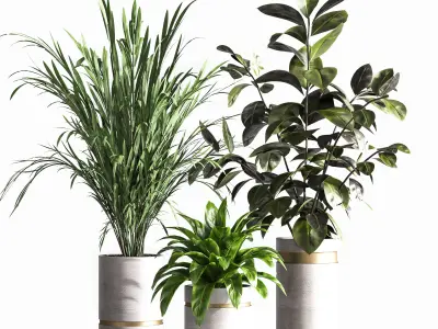 IndoorPlantSet33 group of plants in pots 3D model