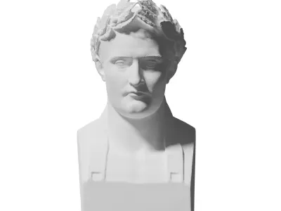 Napoleon Bonaparte Bust Highres for 3D Printing 3D print model