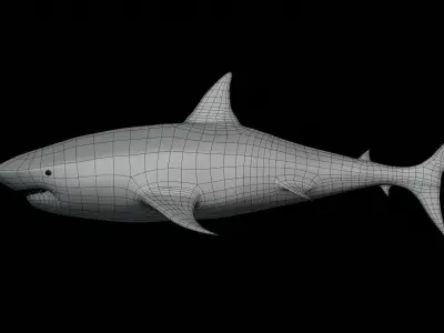 Realistic Great White Shark - Game Ready Rigged and Animated Low-poly 3D model