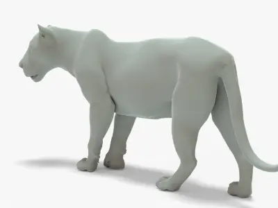 Lion Rigged Basemesh Low-poly 3D model