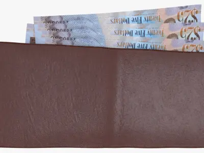 Cayman Islands British 25 Dollar Wallet Money Purse 3D model