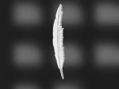 feather model free Free 3D model