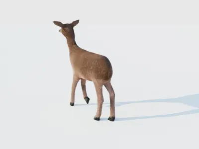 Realistic Deer with Fur Low-poly 3D model