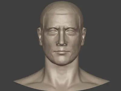 Man Head - Bust  3D model