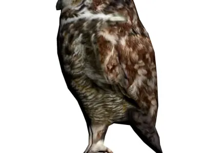 Owl model great horned 3D model