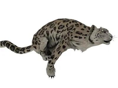 Realistic Leopard 3D Model  Game-Ready  Rigged  Low Poly Low-poly 3D model