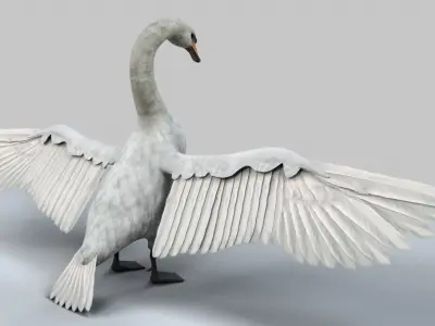 White Swan 3D model buy