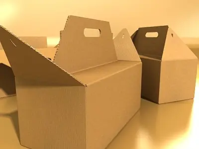 Photorealistic Cardboard Carrier Box High Res 3D model