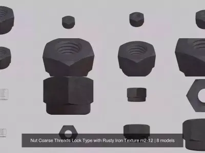 Nut Coarse Threads Lock Type with Rusty Iron Texture m2-12 3D Model Pack