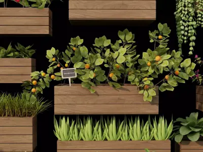Home plants 3D model Low-poly 3D model