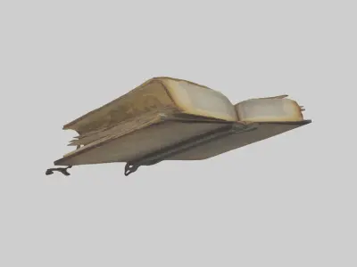 Bookoffate Model 1 Low-poly 3D model