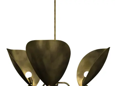 Chiton 3 Chandelier 3D model