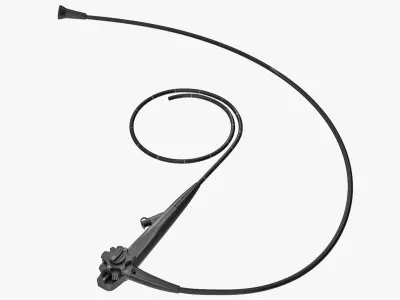 Endoscope 3D model