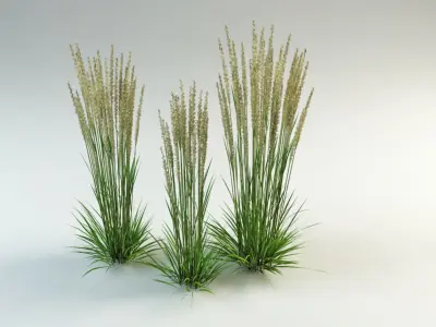  grass collection_1 