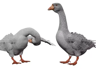 Goose  Low-poly 3D model