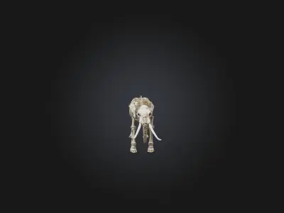 Realistic Elephant Skeleton Model Low-poly 3D model