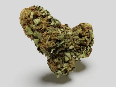 Cannabis Bud 05 3D model