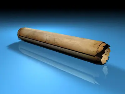 Papyrus cigar 3D model