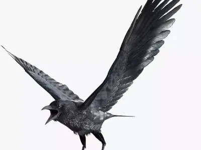 Crow Animated 3D model Low-poly 3D model
