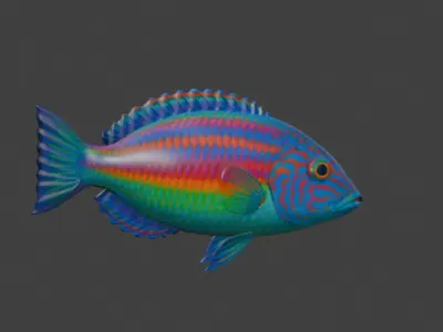 Wrasse Fish 3D model