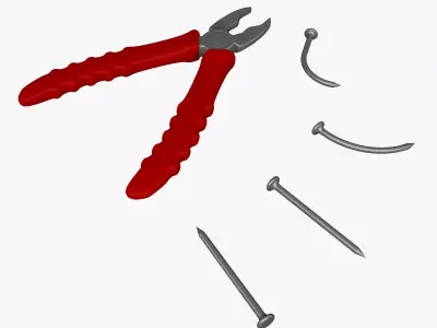 Pliers With Nails  3D model