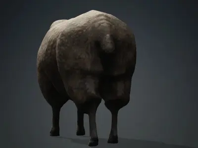 Animal Ram Free 3D model