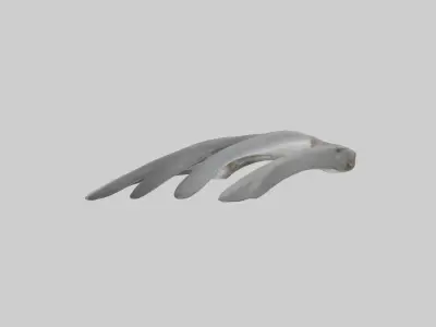 Koala Rib Low-poly 3D model