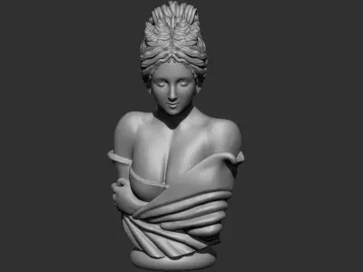 female bust 3D print model