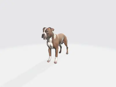 American Staffordshire  Portrait Terrier Pet Animals 3d model 3D model
