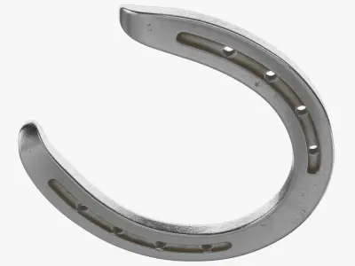 Horseshoe 2 Textured 3D model