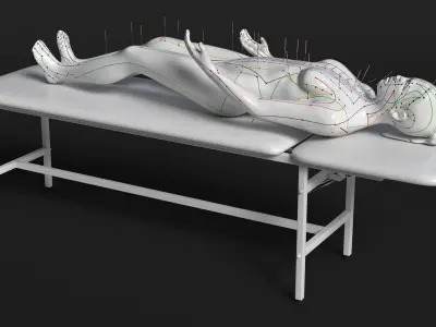 Female Acupuncture Mannequin on the Couch 3D model