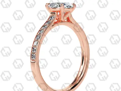 Ring 76 Oval Shape and princess on shanks with Gems 3D print model