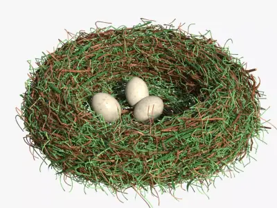 Bird Nest 3D model 5