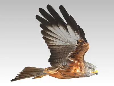 Red Kite Low-poly 3D model