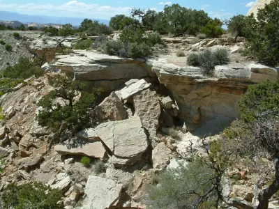 Hammer Free 3D model shop