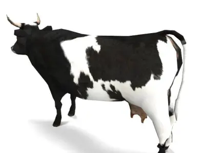 Lowpoly Cow Low-poly 3D model