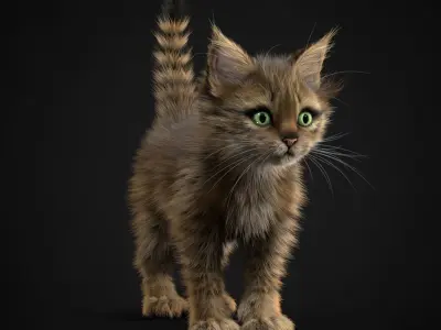 Kitten Tabby 3D model