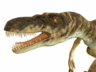 Raptor Low-poly 3D model