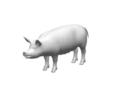 pig - 3D model