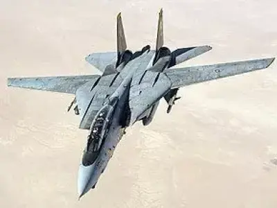 Grumman F-14 Tomcat 3D model