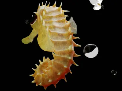 Sea horse 3D model purchase