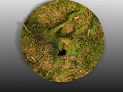 Forest Tree Stump 4K -Part 1-   Free low-poly 3D model