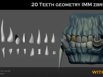 20 TEETH imm ZBRUSH Brush Shapes for OTHER softwares Have Uvs Low-poly 3D model