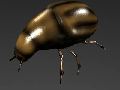 Beetle 3D model shop