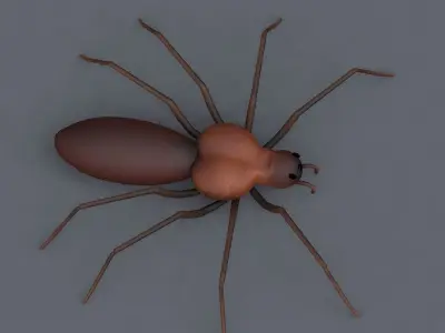 Spider 3d Model Low-poly 3D model purchase
