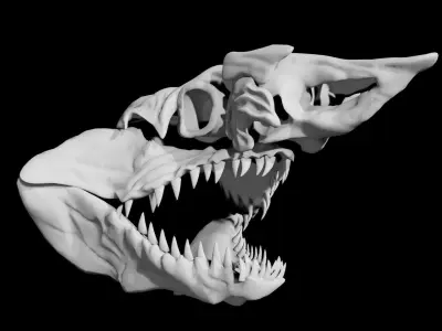 Shark Skull Low-poly 3D model