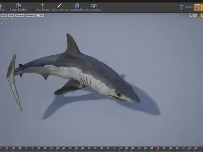 Mako Shark Low-poly 3D model purchase