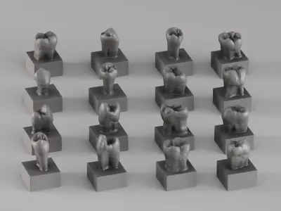 001690 Premium Dental Tooth Collection STL 3D Scan 3D print model